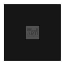 COLORE AD OLIO EXTRA FINE REMBRANDT TUBO T6 DA 15ml 702 NERO FUMO