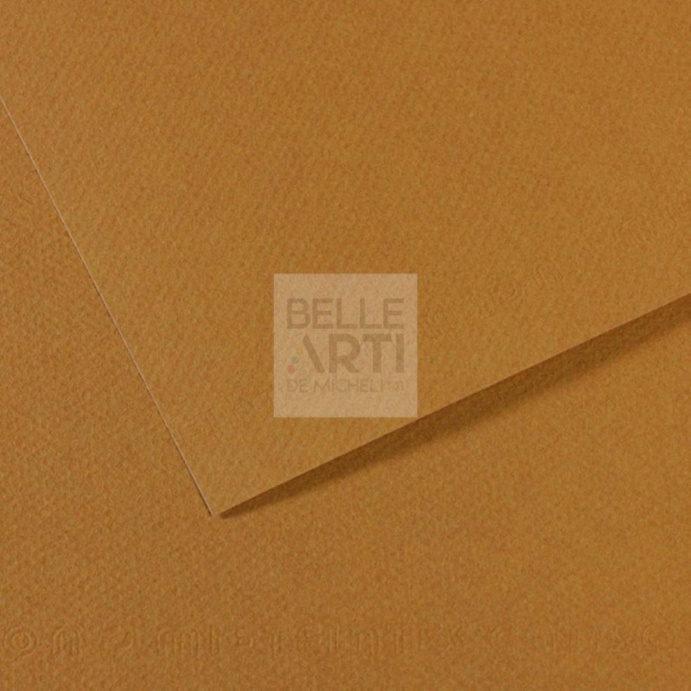 CARTA IN FOGLIO MI-TEINTES A4 160gr. COL. 336 CACHOU