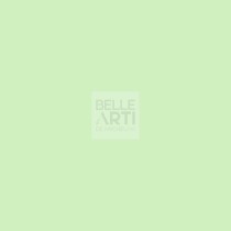 CARTA IN FOGLI COPYTINTA " COLORI TENUI " F.TO A4 160 GR - VERDE CHIARO