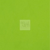 GOMMA CREPLA 40 X 60 CM 1 MM VERDE PASTELLO