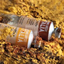COLORE AD OLIO SERIE TERRE GREZZE D'ITALIA DA 60 ml. 34 TERRA GIALLA DI VERONA