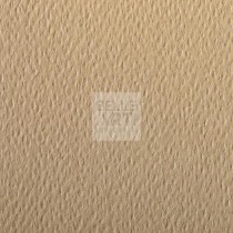 CARTA IN FOGLIO ETIVAL A4 160gr. COLORE #66 CARAMELLO