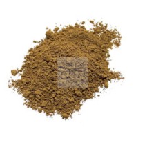 PIGMENTO IN POLVERE PER ARTISTI HAVANA OCRE TR/0275