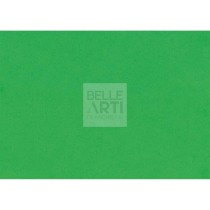 MOOSGUMMI 40 X 60 CM 2 MM VERDE MAGGIO