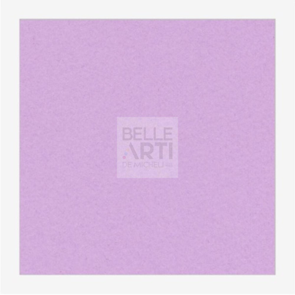 CARTONCINO BRISTOL FABCOLORE GR.200 F.TO 70 X 100 - 244 VIOLETTO