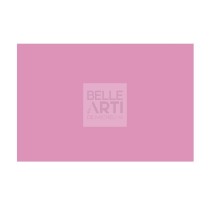 CARTONCINO BRISTOL FABCOLORE GR.200 F.TO 70 X 100 - 243 FUCSIA
