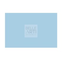 CARTONCINO BRISTOL FABCOLORE GR.200 F.TO 70 X 100 - 238 CELESTE