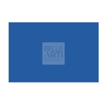 CARTONCINO BRISTOL FABCOLORE GR.200 F.TO 70 X 100 - 234 BLU